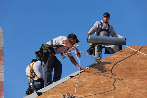 Best Metal Roofing Contractor  in Center Point, NM